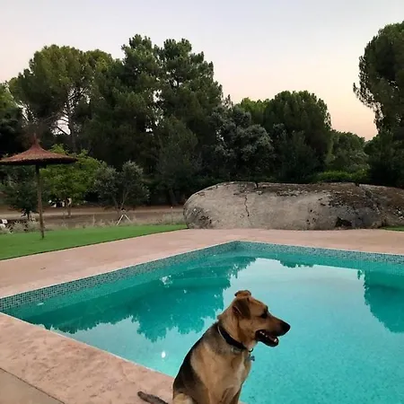 Casa Valdesanmartin - Country House, 10500sqm, Pool, Paddel & Bbq El Tiemblo