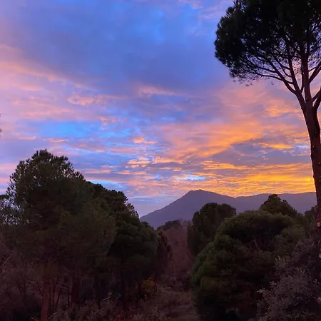 Casa Valdesanmartin - Country House, 10500sqm, Pool, Paddel & Bbq * El Tiemblo