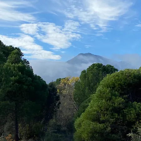 Casa Valdesanmartin - Country House, 10500sqm, Pool, Paddel & Bbq El Tiemblo