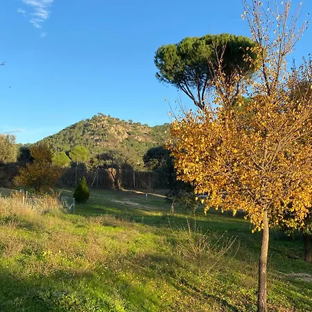 Casa Valdesanmartin - Country House, 10500sqm, Pool, Paddel & Bbq El Tiemblo