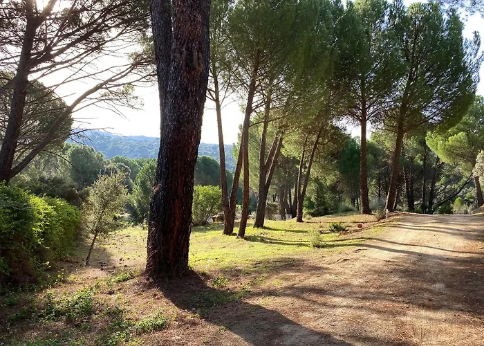 Casa Valdesanmartin - Country House, 10500sqm, Pool, Paddel & Bbq *