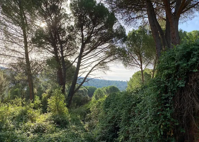 Casa vacanze Casa Valdesanmartin - Country House, 10500sqm, Pool, Paddel & Bbq El Tiemblo