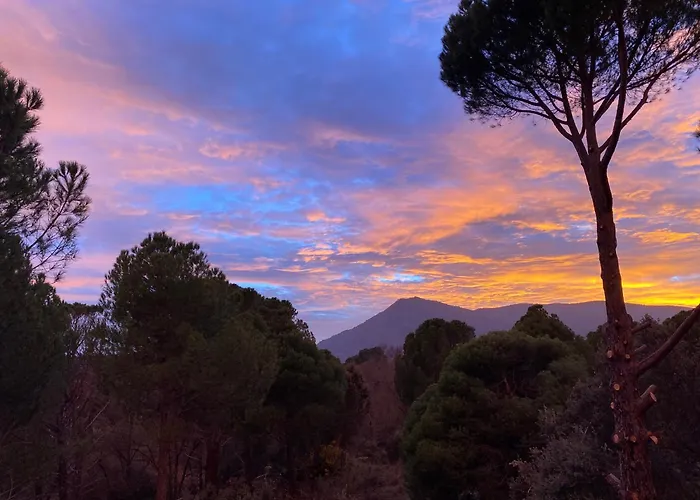 Casa Valdesanmartin - Country House, 10500sqm, Pool, Paddel & Bbq * 엘 티엠블로