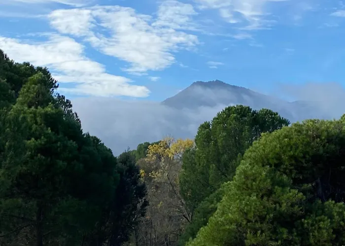 Casa Valdesanmartin - Country House, 10500sqm, Pool, Paddel & Bbq 엘 티엠블로